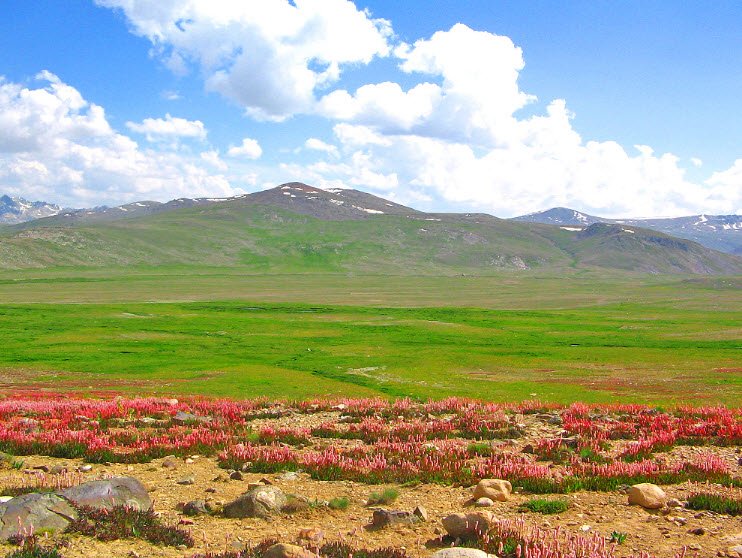Deosai National Park, Gilgit-Baltistan, Pakistan